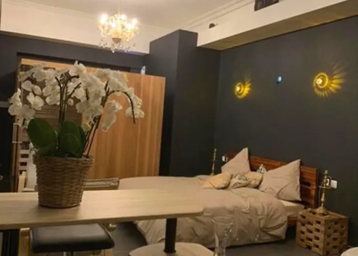 Love hôtel Diane Luxury 1