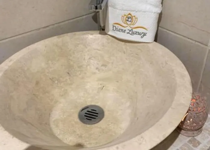 Diane Luxury 1 Roubaix