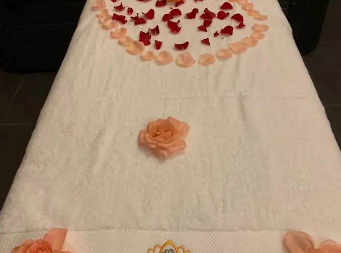 Love hôtel Diane Luxury 1